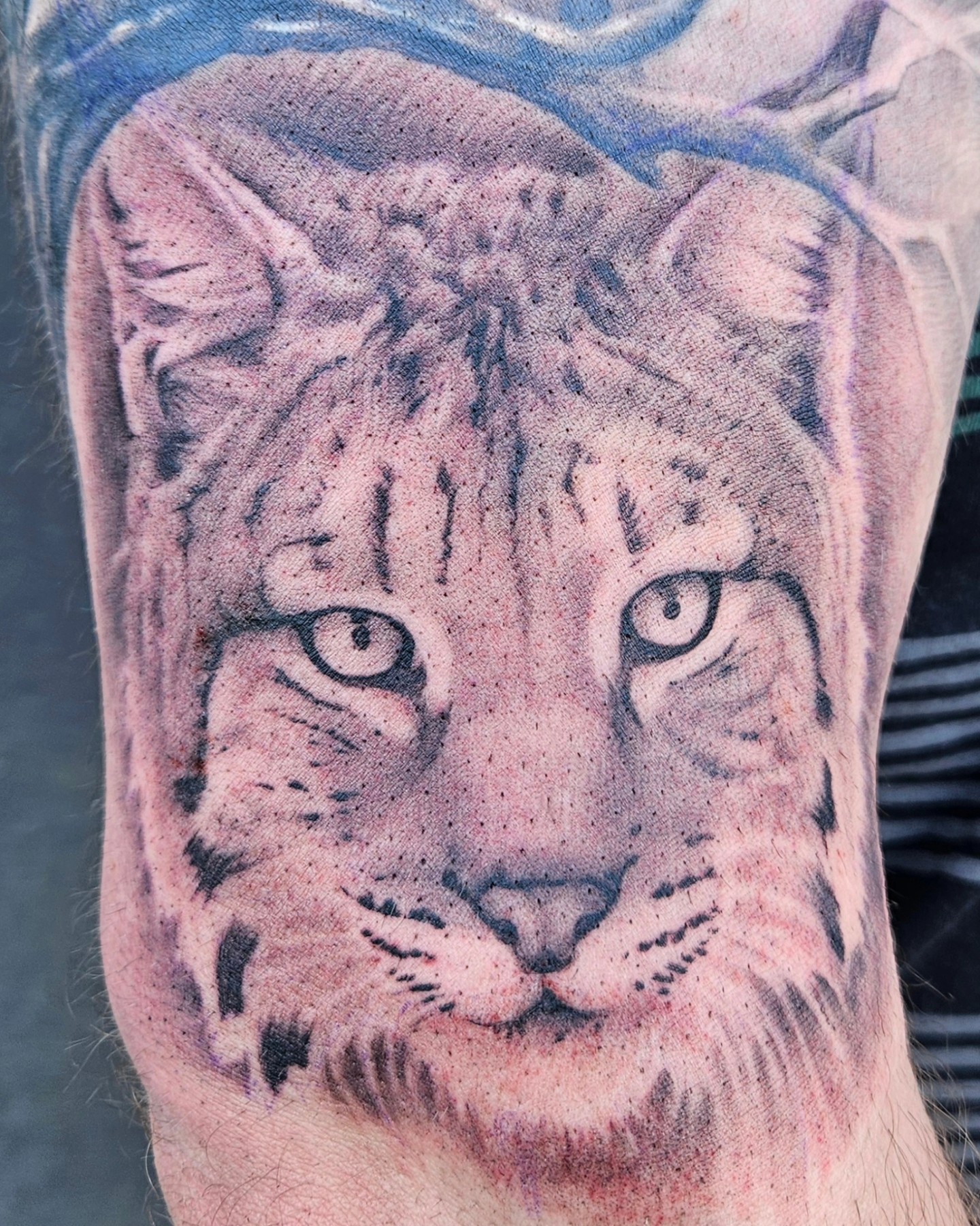 Lynx add on — Clay Walker Tattoo