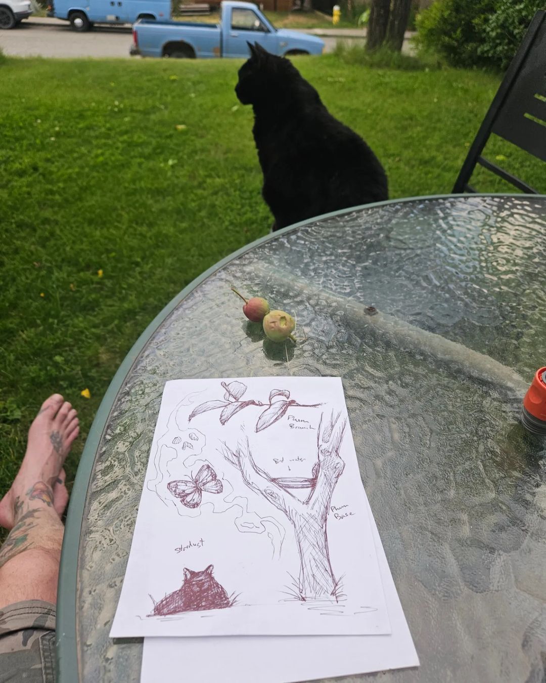 Cat Tree Drawings — Clay Walker Art