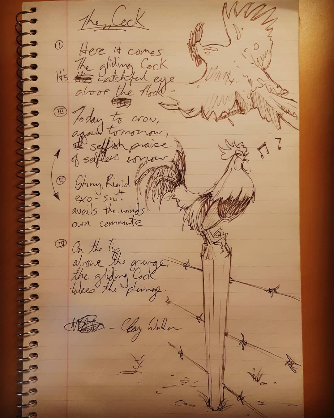 Gliding Cock — Clay Walker Art