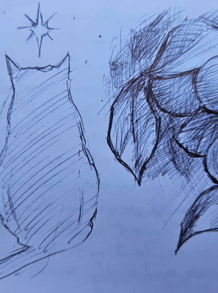 Stardust and Apricots