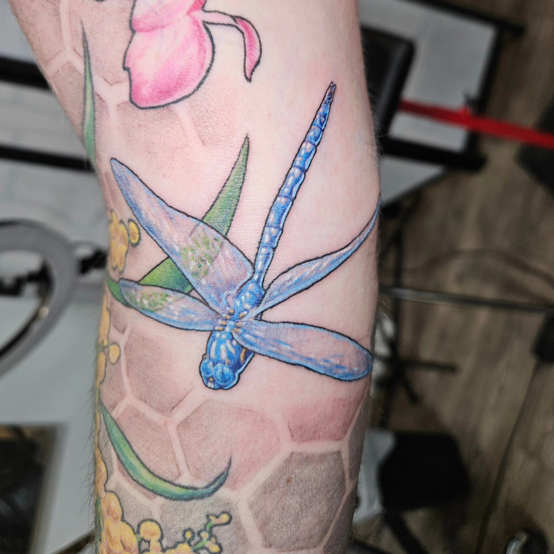 Blue Dragonfly Tattoo — Clay Walker Tattoo
